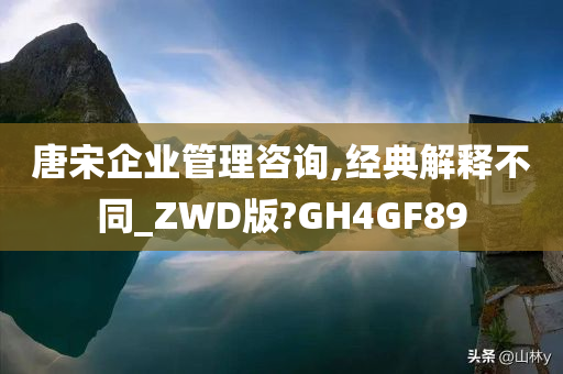 唐宋企业管理咨询,经典解释不同_ZWD版?GH4GF89