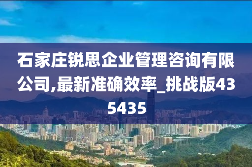 石家庄锐思企业管理咨询有限公司,最新准确效率_挑战版435435