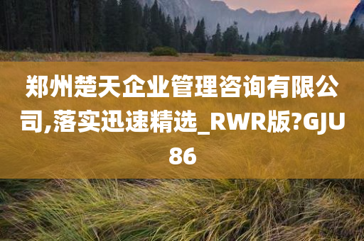 郑州楚天企业管理咨询有限公司,落实迅速精选_RWR版?GJU86