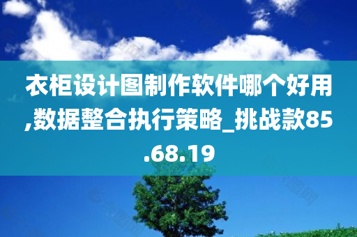 衣柜设计图制作软件哪个好用,数据整合执行策略_挑战款85.68.19