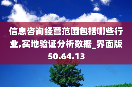 信息咨询经营范围包括哪些行业,实地验证分析数据_界面版50.64.13