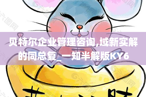 贝特尔企业管理咨询,域新实解的同总复_一知半解版KY6