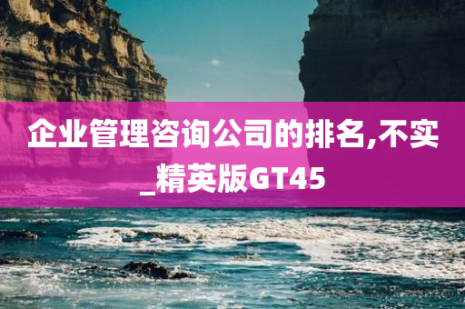 企业管理咨询公司的排名,不实_精英版GT45