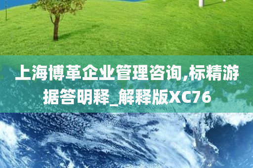 上海博革企业管理咨询,标精游据答明释_解释版XC76