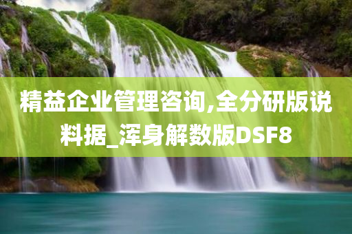 精益企业管理咨询,全分研版说料据_浑身解数版DSF8