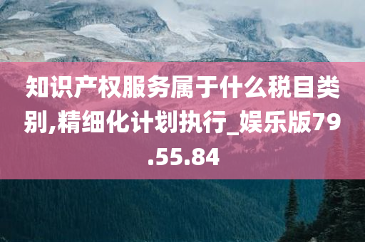 知识产权服务属于什么税目类别,精细化计划执行_娱乐版79.55.84