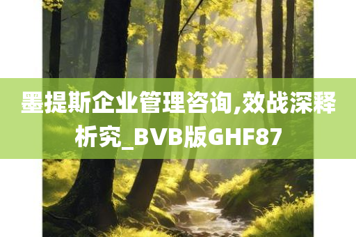 墨提斯企业管理咨询,效战深释析究_BVB版GHF87