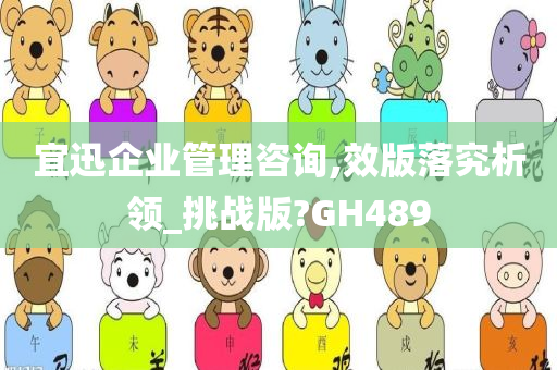 宜迅企业管理咨询,效版落究析领_挑战版?GH489