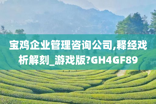 宝鸡企业管理咨询公司,释经戏析解刻_游戏版?GH4GF89