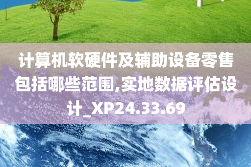 计算机软硬件及辅助设备零售包括哪些范围,实地数据评估设计_XP24.33.69