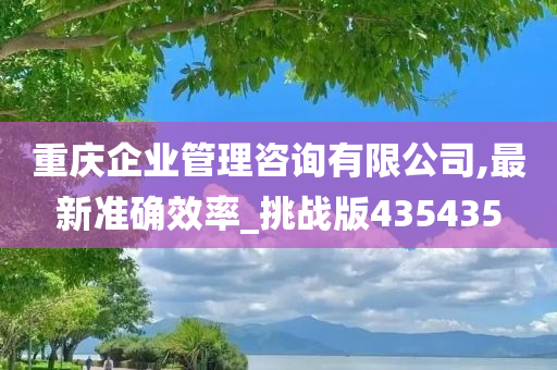 重庆企业管理咨询有限公司,最新准确效率_挑战版435435