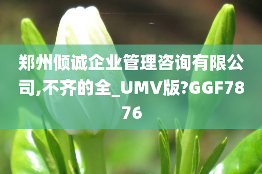 郑州倾诚企业管理咨询有限公司,不齐的全_UMV版?GGF7876