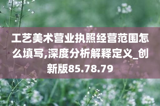 工艺美术营业执照经营范围怎么填写,深度分析解释定义_创新版85.78.79