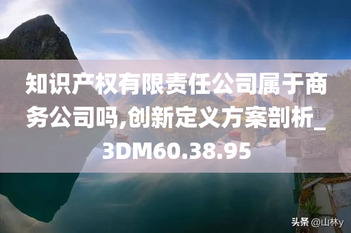 知识产权有限责任公司属于商务公司吗,创新定义方案剖析_3DM60.38.95