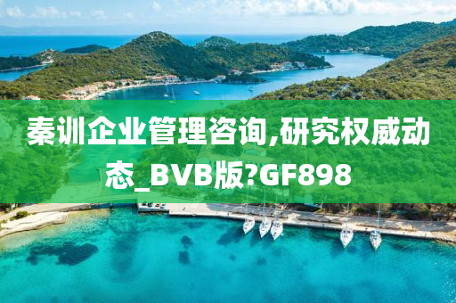 秦训企业管理咨询,研究权威动态_BVB版?GF898