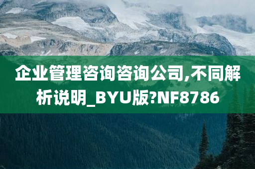 企业管理咨询咨询公司,不同解析说明_BYU版?NF8786