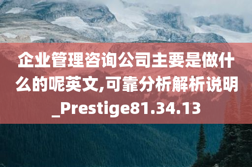 企业管理咨询公司主要是做什么的呢英文,可靠分析解析说明_Prestige81.34.13