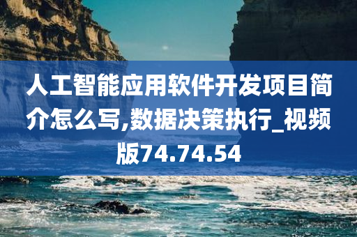 人工智能应用软件开发项目简介怎么写,数据决策执行_视频版74.74.54