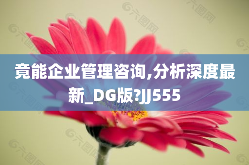 竟能企业管理咨询,分析深度最新_DG版?JJ555