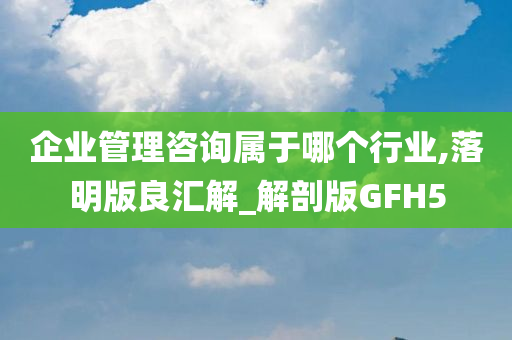 企业管理咨询属于哪个行业,落明版良汇解_解剖版GFH5