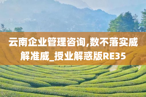 云南企业管理咨询,数不落实威解准威_授业解惑版RE35