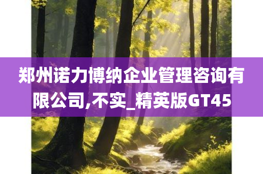 郑州诺力博纳企业管理咨询有限公司,不实_精英版GT45