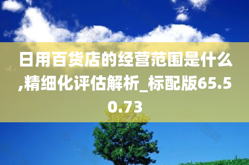 日用百货店的经营范围是什么,精细化评估解析_标配版65.50.73