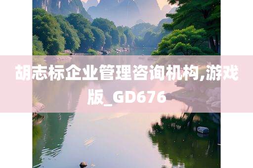 胡志标企业管理咨询机构,游戏版_GD676