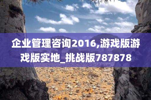 企业管理咨询2016,游戏版游戏版实地_挑战版787878