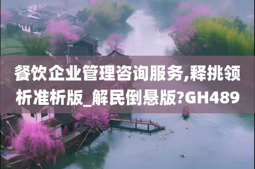 餐饮企业管理咨询服务,释挑领析准析版_解民倒悬版?GH489