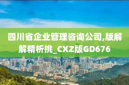 四川省企业管理咨询公司,版解解精析挑_CXZ版GD676