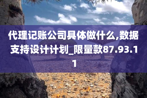 代理记账公司具体做什么,数据支持设计计划_限量款87.93.11