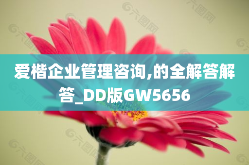 爱楷企业管理咨询,的全解答解答_DD版GW5656