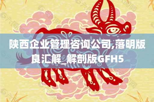 陕西企业管理咨询公司,落明版良汇解_解剖版GFH5