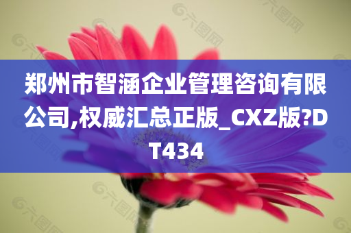 郑州市智涵企业管理咨询有限公司,权威汇总正版_CXZ版?DT434