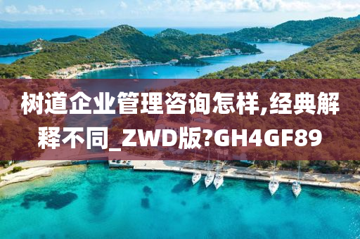 树道企业管理咨询怎样,经典解释不同_ZWD版?GH4GF89