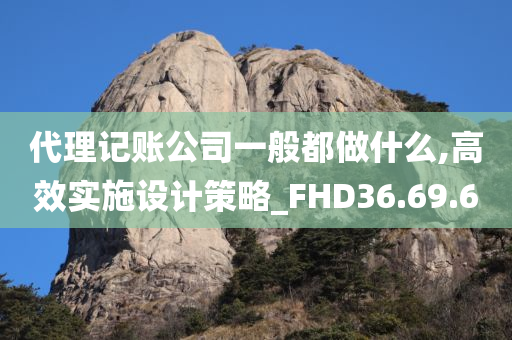 代理记账公司一般都做什么,高效实施设计策略_FHD36.69.60