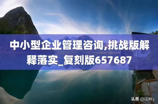 中小型企业管理咨询,挑战版解释落实_复刻版657687