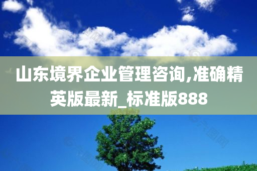 山东境界企业管理咨询,准确精英版最新_标准版888