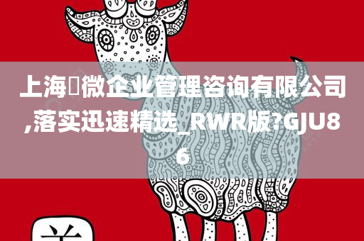 上海璟微企业管理咨询有限公司,落实迅速精选_RWR版?GJU86