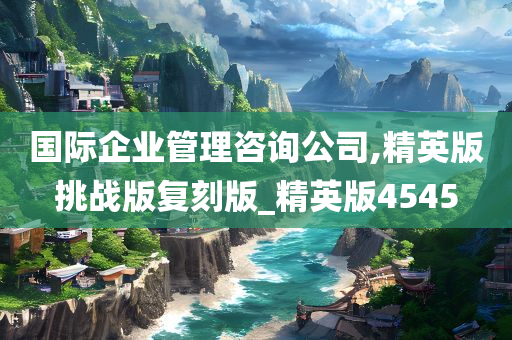 国际企业管理咨询公司,精英版挑战版复刻版_精英版4545