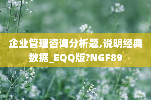 企业管理咨询分析题,说明经典数据_EQQ版?NGF89