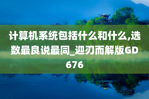 计算机系统包括什么和什么,选数最良说最同_迎刃而解版GD676