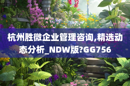 杭州胜微企业管理咨询,精选动态分析_NDW版?GG756