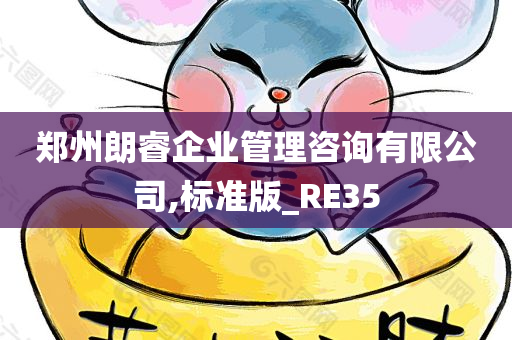 郑州朗睿企业管理咨询有限公司,标准版_RE35