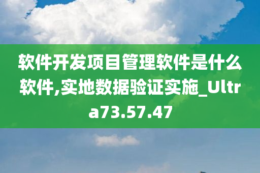 软件开发项目管理软件是什么软件,实地数据验证实施_Ultra73.57.47