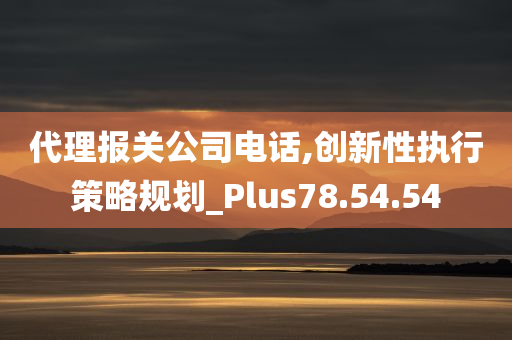 代理报关公司电话,创新性执行策略规划_Plus78.54.54