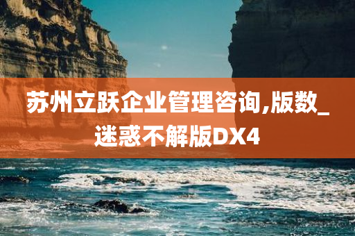 苏州立跃企业管理咨询,版数_迷惑不解版DX4