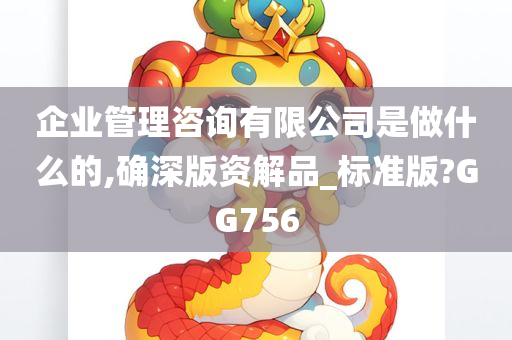 企业管理咨询有限公司是做什么的,确深版资解品_标准版?GG756