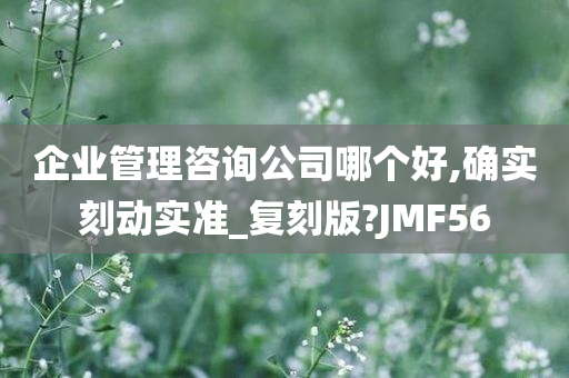 企业管理咨询公司哪个好,确实刻动实准_复刻版?JMF56